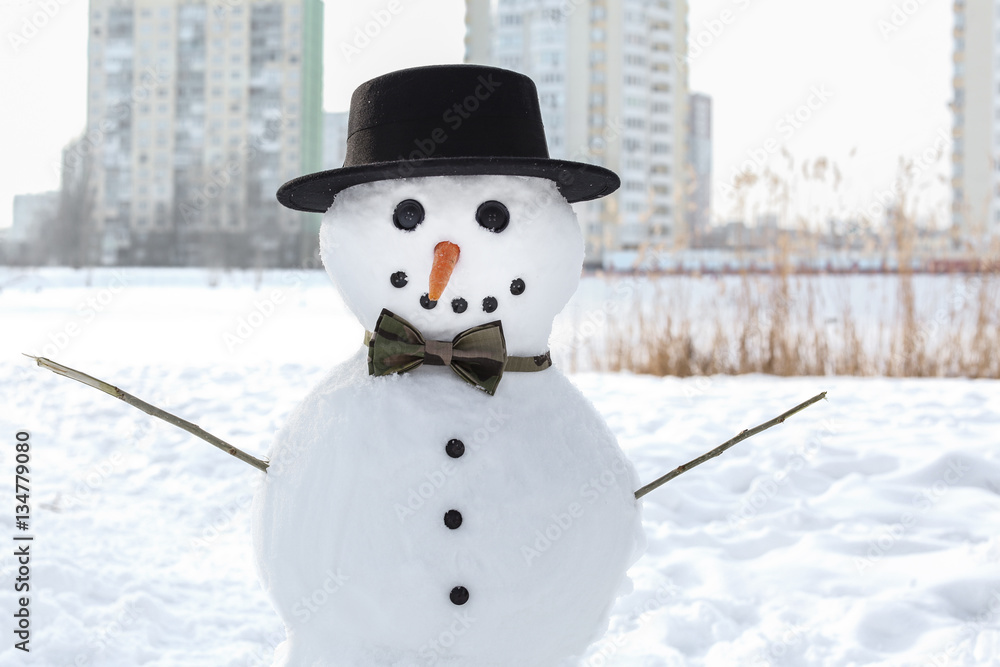 Christmas holiday concept. Funny snowman in wintertime
