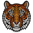 Tiger head isolated