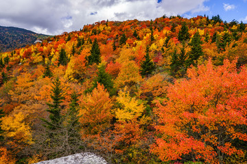 Wall Mural - Fall off The Blue Ridge Parkway