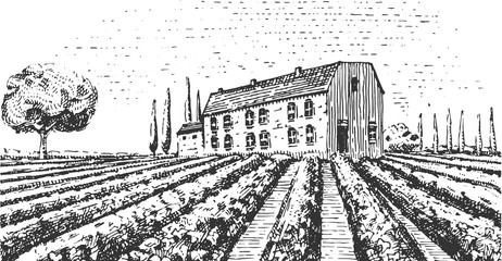 Wall Mural - Vintage engraved, hand drawn vineyards landscape, tuskany fields, old looking scratchboard or tatooo style