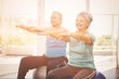 © vectorfusionart - Happy senior couple performing exercise