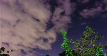 Wall Mural - Time lapse scene of a night sky with stars and cloud.