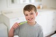 © WavebreakMediaMicro - Portrait of boy brushing teeth in bathroom