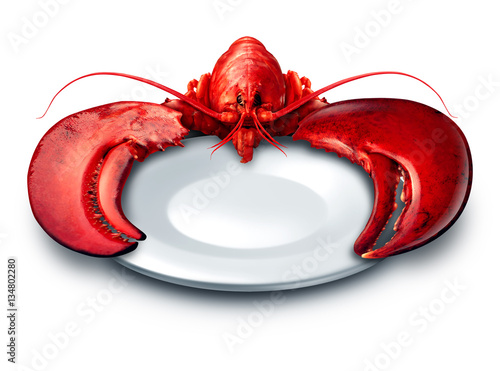 Fotomural Lobster plate dinner on a white background as fresh seafood or shellfish food on a blank dish as a luxury expensive meal concept as a complete red shell crustacean holding the dishware with claws