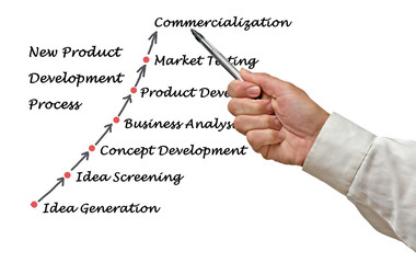 Wall Mural - new product development process