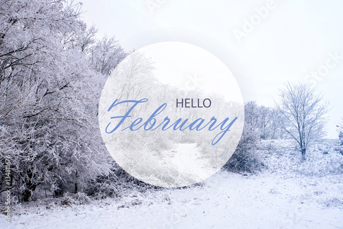 Hello February Wallpaper Winter Landscape With Frozen Forest Buy