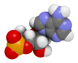 Wall Mural - Cyclic adenosine monophosphate (cAMP) second messenger molecule