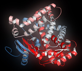 Canvas Print - Cytochrome P450 (CYP2D6) liver enzyme in complex with the drug quinine