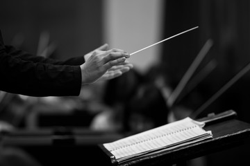 Wall Mural - Hands of conductor closeup in black and white