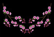 Embroidery branch of pink cherry blossoms on a black background