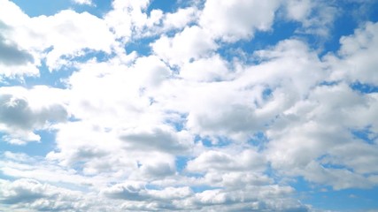 Wall Mural - the clear sky with a cloud