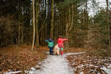 Boy, Girl And Dog Deciding Direction To Woodland 