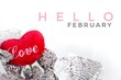 Hello February words on red heart and white background