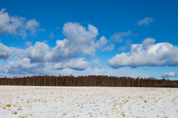 Winter snowy field and forest. Sunny day with huge clouds. Like Estonian flag