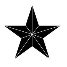 Star Showing Military Authority Icon Image Vector Illustration