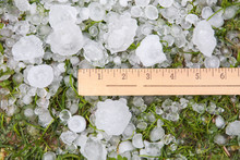 Hail In The Grass And Yardstick After A Storm