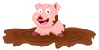 Cute pig cartoon play with mud
