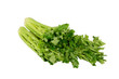  green vegetables