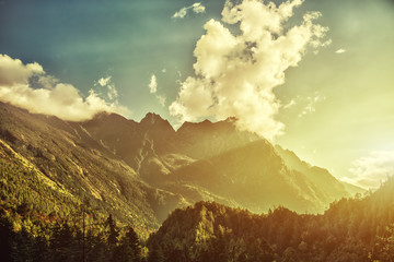 High mountains covered by trees