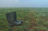 Fototapeta  - Rain boots, rubber boots standing on a wet meadow. Fog in the morning