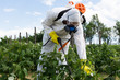 Agriculture worker - Young worker spraying organic pesticides on fruit growing plantation. 
