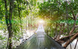 Finish or Goals Line Concept. Lights at The End of Perspective Hanging Wooden Bridge as a Walkway Along with Various Type of Trees and over The River in National Park of Ranong, Thatiland