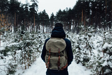 Traveler With Travel Rucksack Enjoying Snowy Landscape In Winter Pine Forest