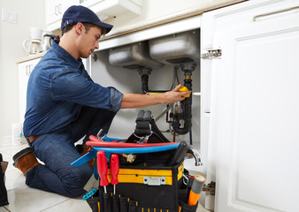 Wall Mural - Plumber.