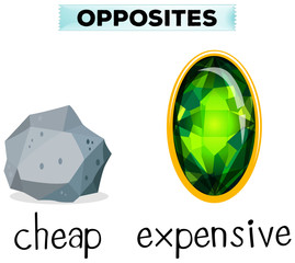 Poster - Opposite words for cheap and expensive