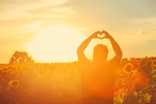 Farmer At Sunset In The Field, Heart Shape Hands.