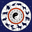 Animal symbols of Chinese zodiac