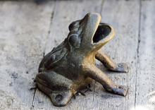 Metal Frog Garden Ornament On Wooden Bench