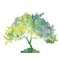silhouette of green tree with leaves