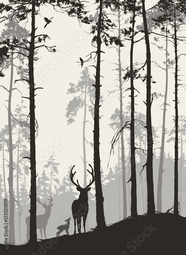 Naklejka na szybę silhouette of a pine forest with a family of deer and birds, brown colors, vector illustration