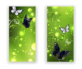 Two green banner with butterflies