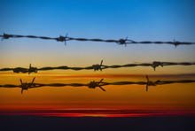 Sunrise Over Prison, Barbed Wire Against The Colorful Morning Sky, Background