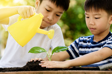 Boy watering on young seedling