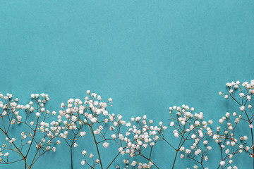 gypsophila flowers frame on blue background from above. flat lay