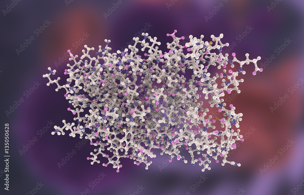 Molecular model of interferon-alpha IFN-alpha, 3D illustration. IFN-alpha is a protein produced by leukocytes and involved in innate immune responce against viral infections - obrazy, fototapety, plakaty 