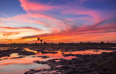 Wall Mural - Colorful sunset over the twilight cloud and sky background, colo