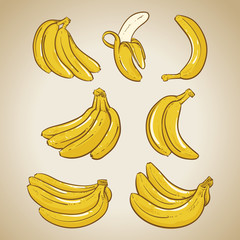 Wall Mural - Yellow Bananas vector illustration on vintage background. Overri