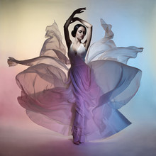 Beautiful Elegant Woman In Blowing Dress