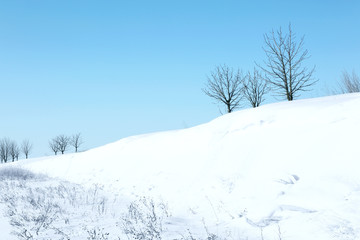 Canvas Print - Beautiful winter landscape with snow covered hill