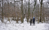 Fototapeta Miasto - Observation d'oiseaux en hiver