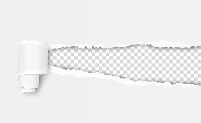 Wall Mural - Vector ripped sheet of paper with soft shadow