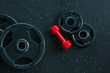 © Africa Studio - Weight plates and dumbbell on floor in gym