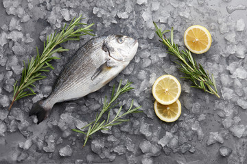 Poster - Fresh gilthead bream or dorado