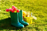 Fototapeta  - Spring or Summer Concept. Rubber Boots with Gardening Tools on G