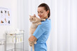 © Africa Studio - Pretty young veterinarian holding cat in vet clinic
