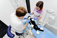 Male Dentist And Assistant Girl Examine Teeth Toy Cat. Student Medic Dentist Take An Examination On A Patient Toy.toy Black Cat In The Dental Chair